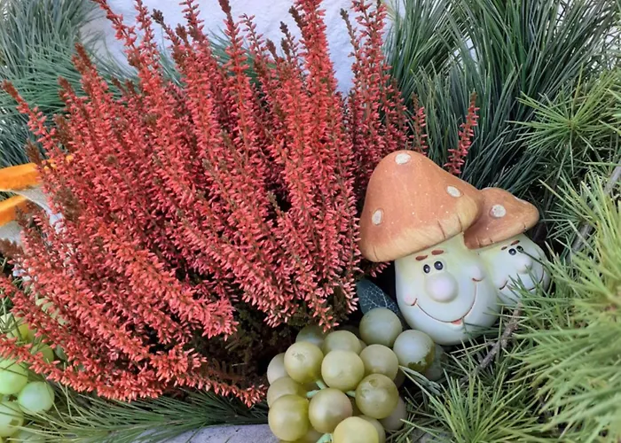 Bed & Breakfast Il Bucaneve Santo Stefano Di Cadore