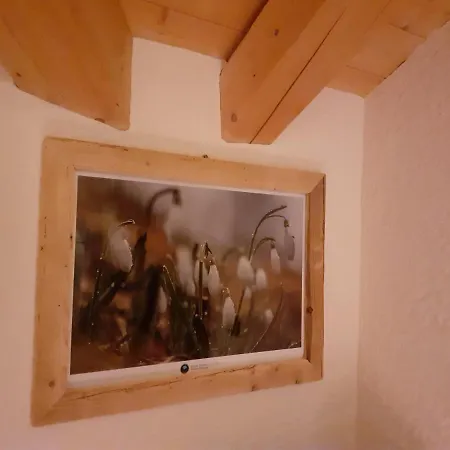 Il Bucaneve * Santo Stefano Di Cadore