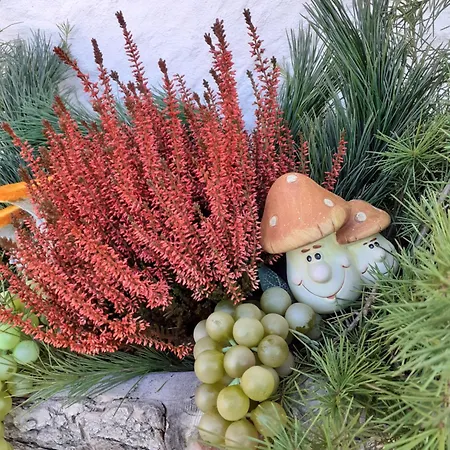 Alojamento de Acomodação e Pequeno-almoço Il Bucaneve Santo Stefano Di Cadore